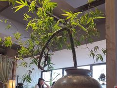 -本处·素食·融合料理(南油店)