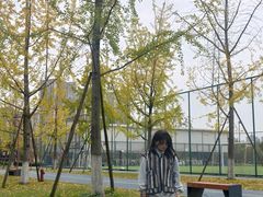 -三圣花乡旅游区