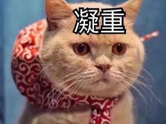 -麦当劳(龙洞店)