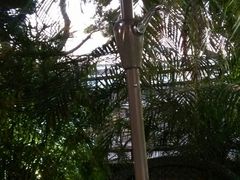 picture-火车头法国西餐厅