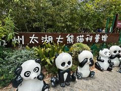 -苏州太湖国家湿地公园