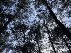 -长春净月潭风景名胜区