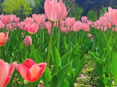 -长春公园(普阳街道)