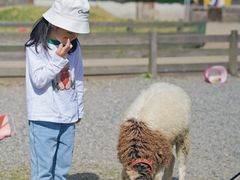 -前小桔亲子创意农场·草莓采摘·露营烧烤