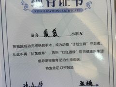 -达爱动物医院·犬猫分区·CT·复杂眼科(远洋山水分院)