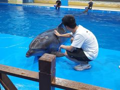 -锦艺城海洋馆