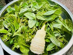 -杭州半山国家森林公园