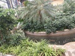 -郑州银基黄帝宫御温泉