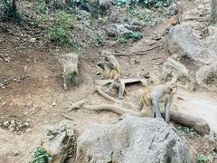 -黔灵山公园