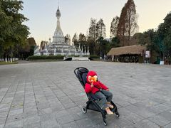 -云南民族村