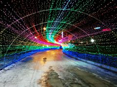 -沈阳奥体冰雪嘉年华