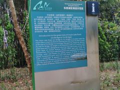 -金银湖国家城市湿地公园
