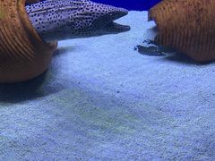 -江和美海洋公园