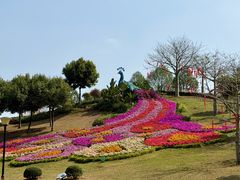 -东莞植物园