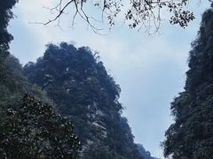-碧峰峡风景区