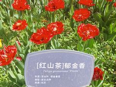 -国家植物园