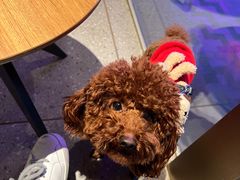 -星巴克臻选(沈阳大悦城店)