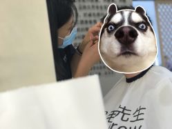 -眉毛先生MrBrow修眉染眉化妆