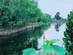 -无锡蠡湖国家湿地公园-蠡园