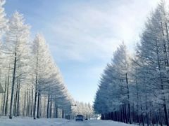 -塞罕坝国家级自然保护区