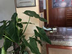 -庐山天沐温泉度假村-停车场