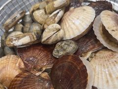 -海味当家·蒸锅海鲜(星海公园店)