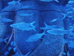 -波塞冬旅游度假区