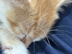 -贝康宠物医院·犬猫全科·小动物特色诊疗中心(东环路店)