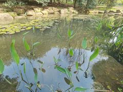-杭州植物园