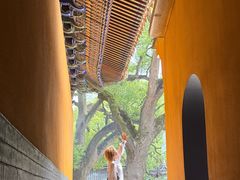 -普陀山风景名胜区-法雨禅寺