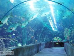 -郑州海洋馆