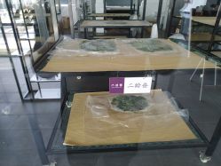 -太湖雪蚕桑文化园