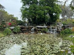 -东莞植物园