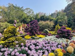 -杭州植物园