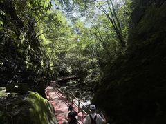 -牛背梁国家森林公园