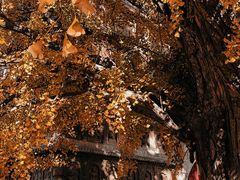 -北京石刻艺术博物馆(五塔寺)