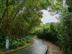 -火炉山森林公园