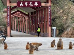-重庆云阳龙缸景区