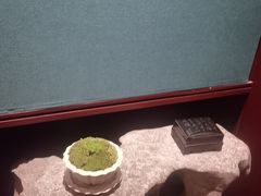 -觀芷隐轩