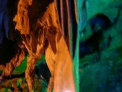 android_upload_pic-仙桥地下河