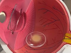 -武汉大学附属爱尔眼科医院(湖北总院)