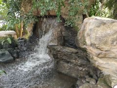 -南山植物园