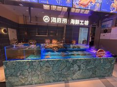 -海底捞火锅(长宁路龙之梦店)