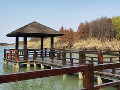 -苏州太湖国家湿地公园