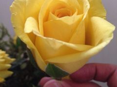 -郑厨私房菜