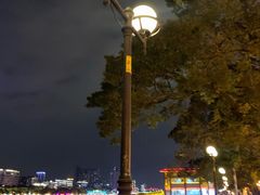 -珠江夜游广州塔·中大码头