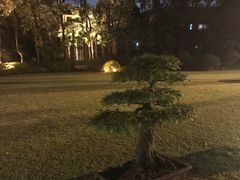 -申粤轩酒楼·三十年粤菜经典(丁香花园店)