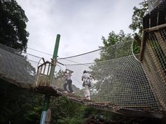 -衢州大荫山丛林飞越探险乐园