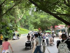 -深圳野生动物园