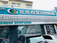 -北京观赏动物医院·24小时大型综合·猫专科·异宠专科